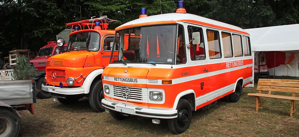 T2 (309)