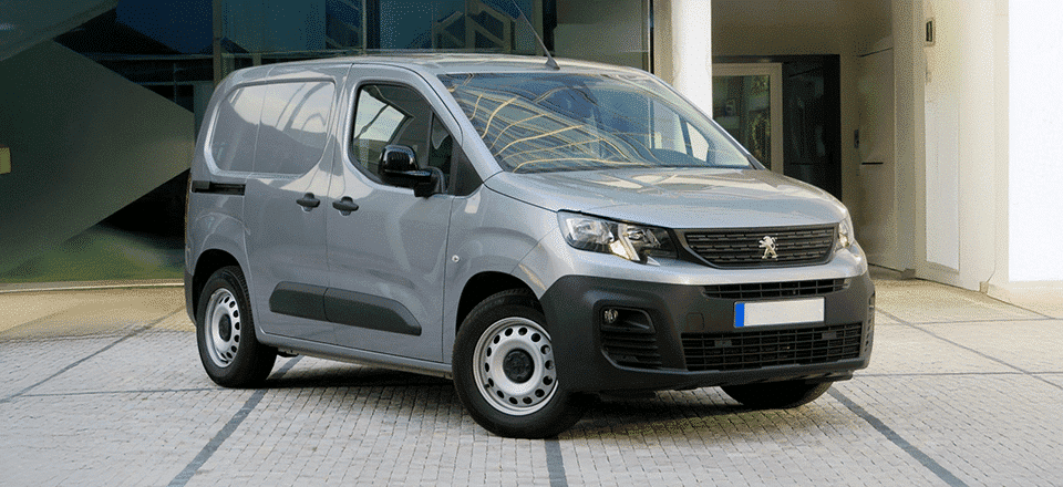 Partner (K9) (2019-On)