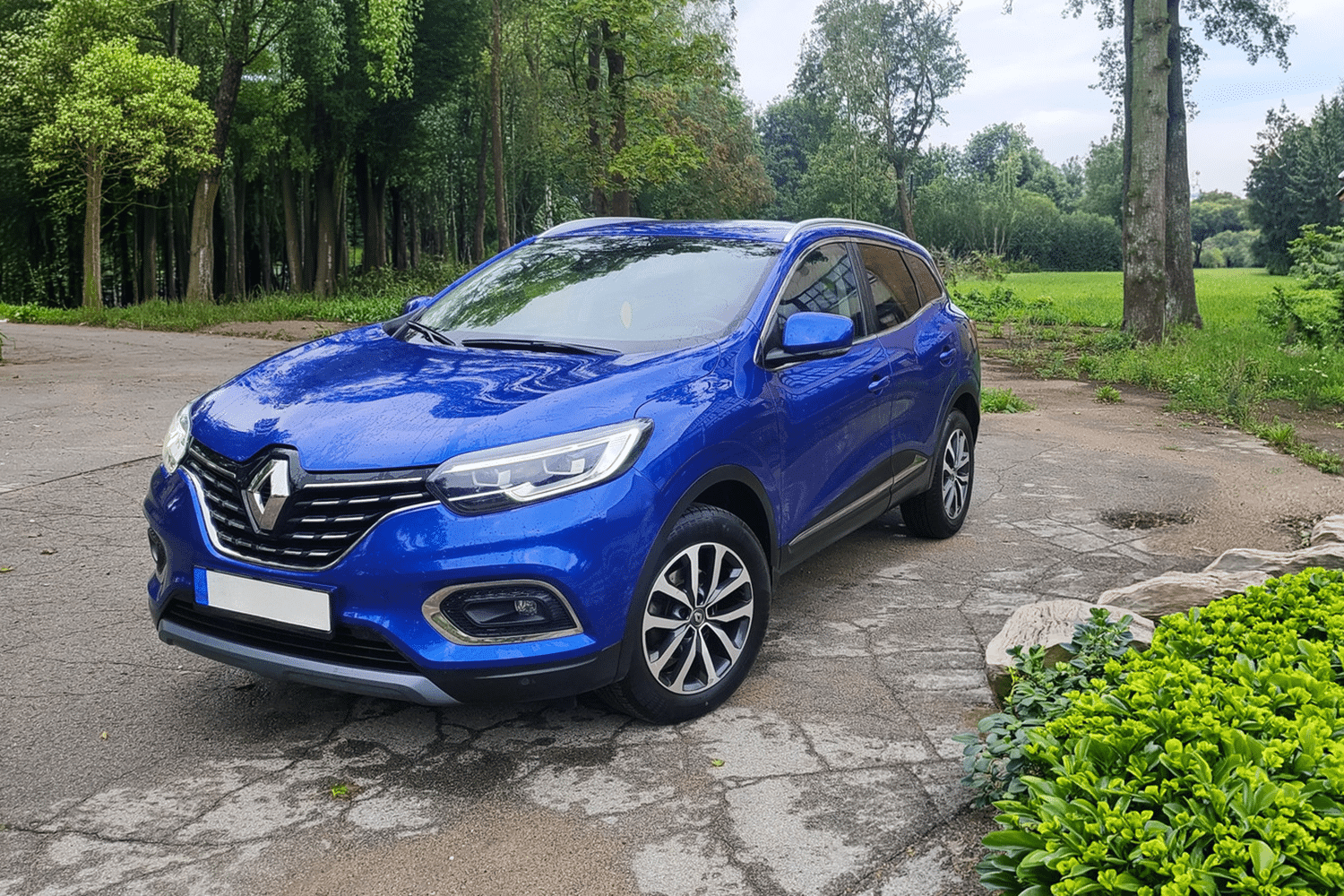 Renault - Captur Mk2 (HF)(2020-On) Polybush Suspension Bushes